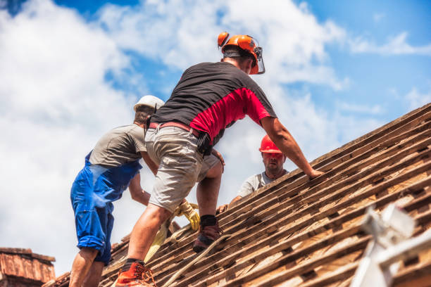 Secure Your Shelter: The Importance of Roof Replacement